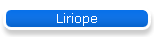Liriope