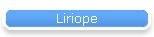 Liriope